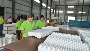 泰国工厂实景拍摄人工修剪图