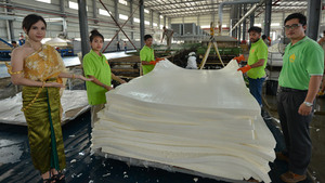 泰国工厂实景拍摄生产线图