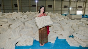 知名模特体验TAIHI泰嗨乳胶枕头