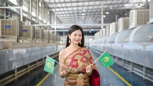 泰国知名模特参观乳胶枕头生产线