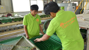 泰国工厂实景拍摄清理模具图